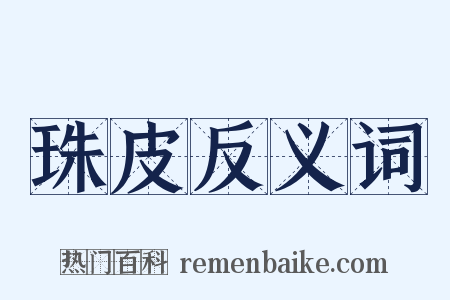 珠皮反义词是什么意思的图片